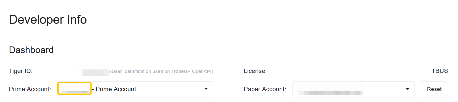 Individual Developer